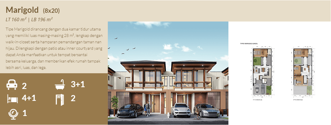 Meranti 8